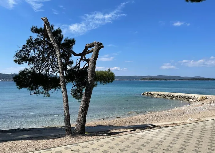 Кемпинг Pearl Of The Biograd