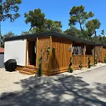 Pearl Of The Biograd