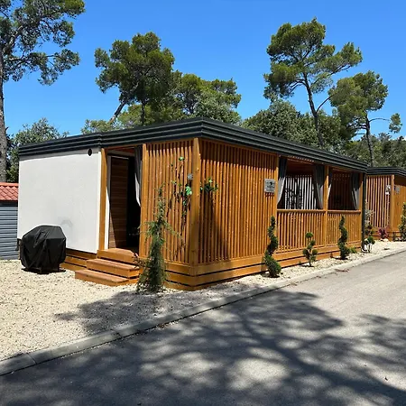 Pearl Of The Biograd