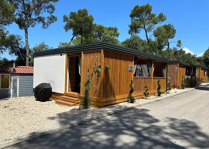 Pearl Of The Biograd